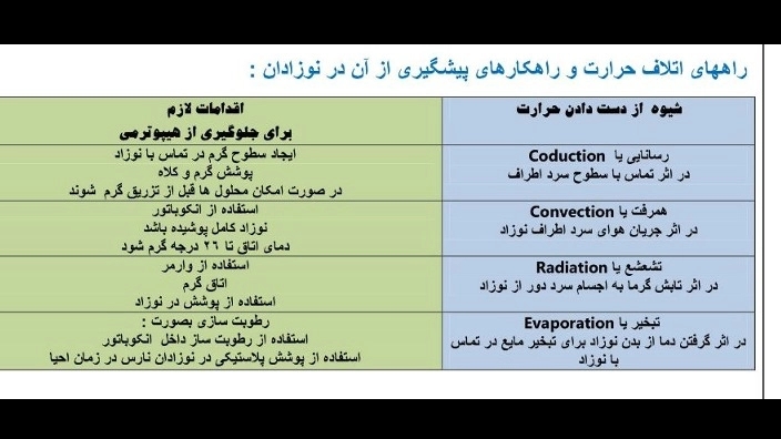 مطالب علمی نوزادان