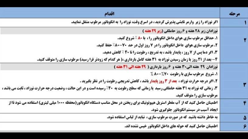 مطالب علمی نوزادان