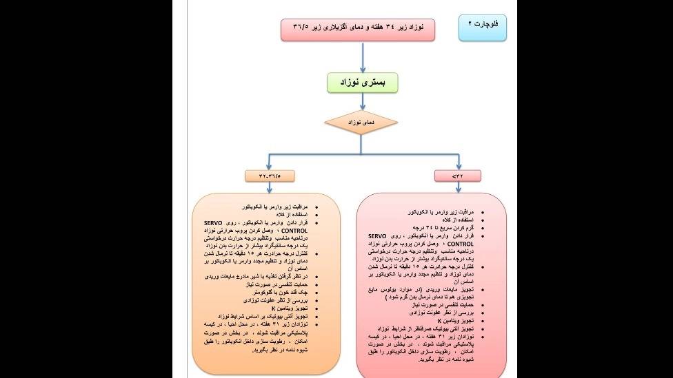 مطالب علمی نوزادان